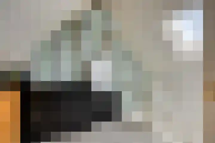 De Lint 109 Zevenbergen thumbnail 45