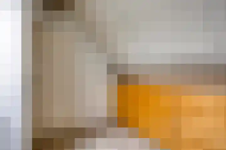 De Lint 109 Zevenbergen thumbnail 46