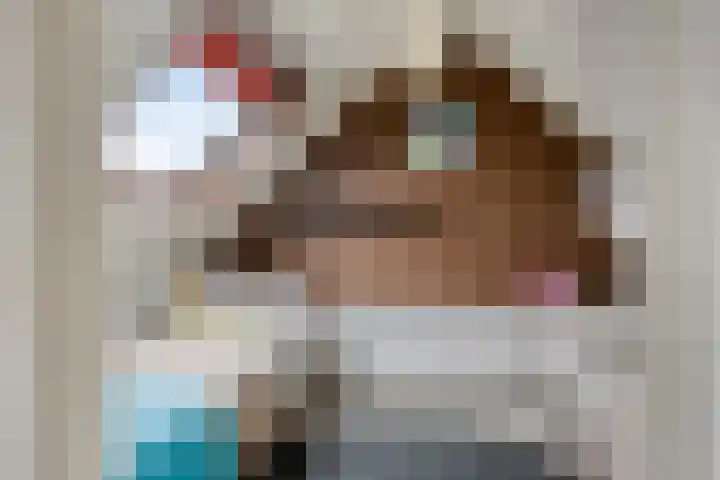 De Lint 109 Zevenbergen thumbnail 47