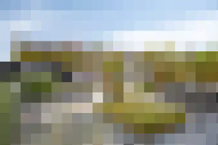 De Lint 109 Zevenbergen thumbnail 48