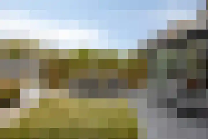 De Lint 109 Zevenbergen thumbnail 49