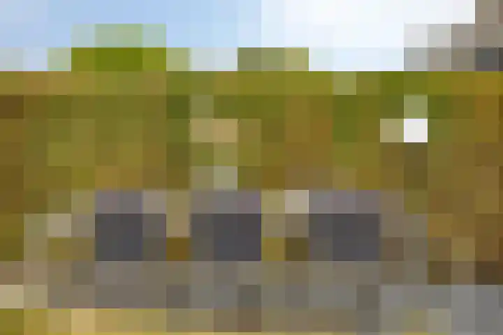 De Lint 109 Zevenbergen thumbnail 50