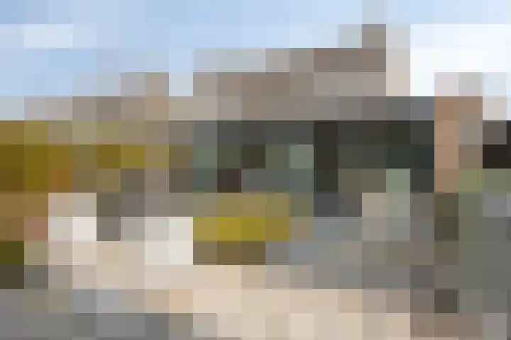 De Lint 109 Zevenbergen thumbnail 51