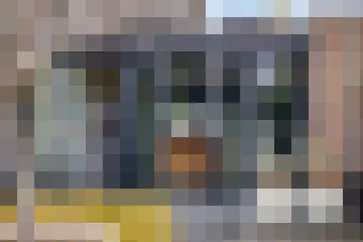 De Lint 109 Zevenbergen thumbnail 52