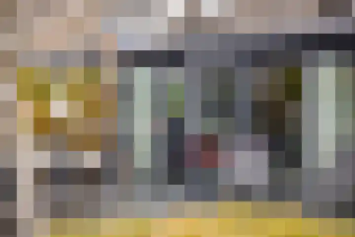 De Lint 109 Zevenbergen thumbnail 53