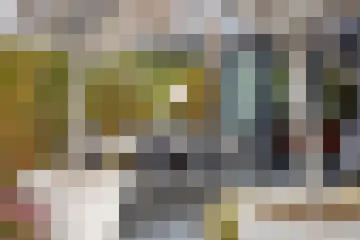 De Lint 109 Zevenbergen thumbnail 54