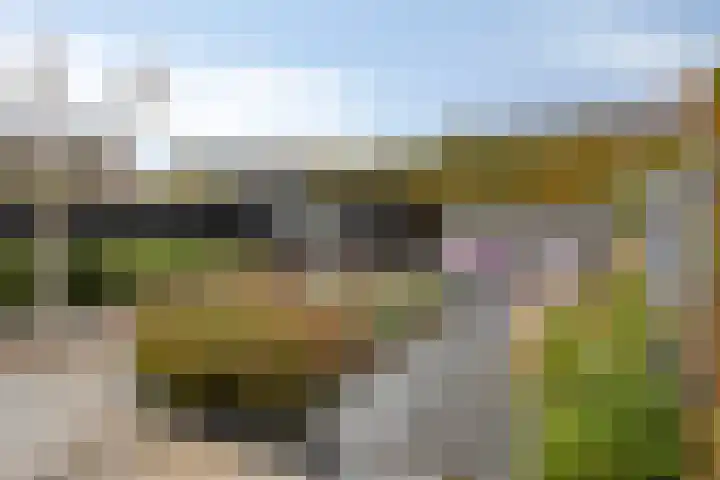 De Lint 109 Zevenbergen thumbnail 55