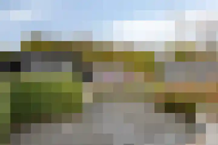 De Lint 109 Zevenbergen thumbnail 56