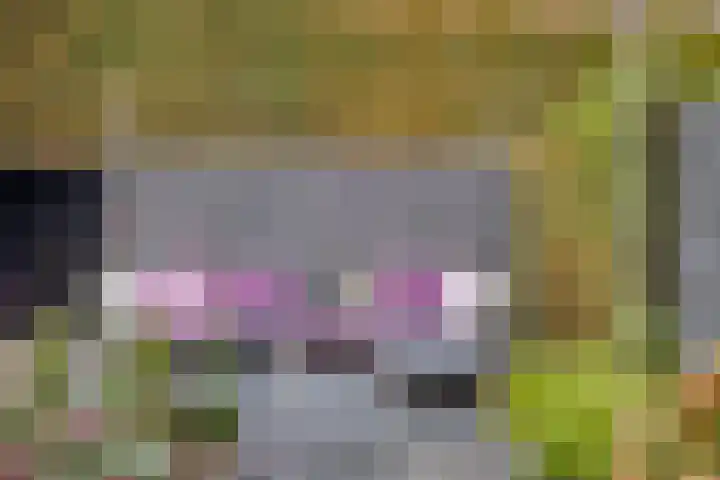 De Lint 109 Zevenbergen thumbnail 58