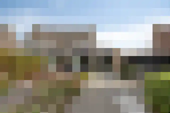 De Lint 109 Zevenbergen thumbnail 59