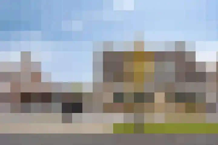 De Lint 109 Zevenbergen thumbnail 60
