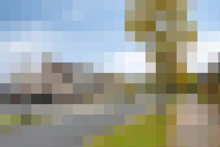 De Lint 109 Zevenbergen thumbnail 62