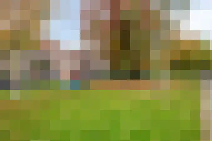 De Lint 109 Zevenbergen thumbnail 63