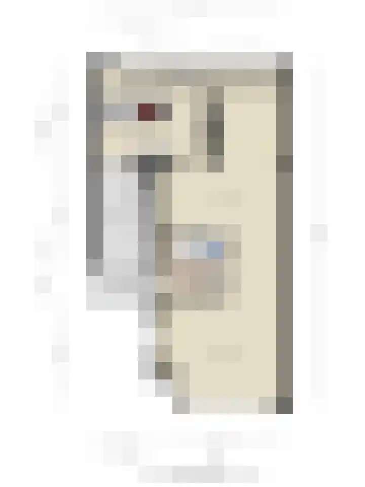 De Lint 109 Zevenbergen thumbnail 65