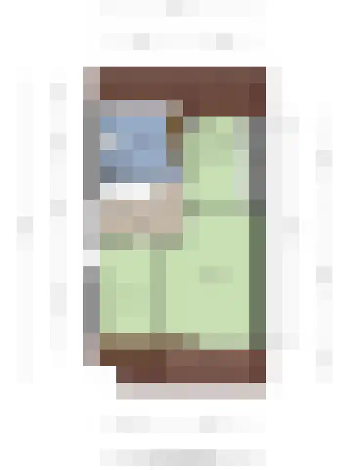 De Lint 109 Zevenbergen thumbnail 66