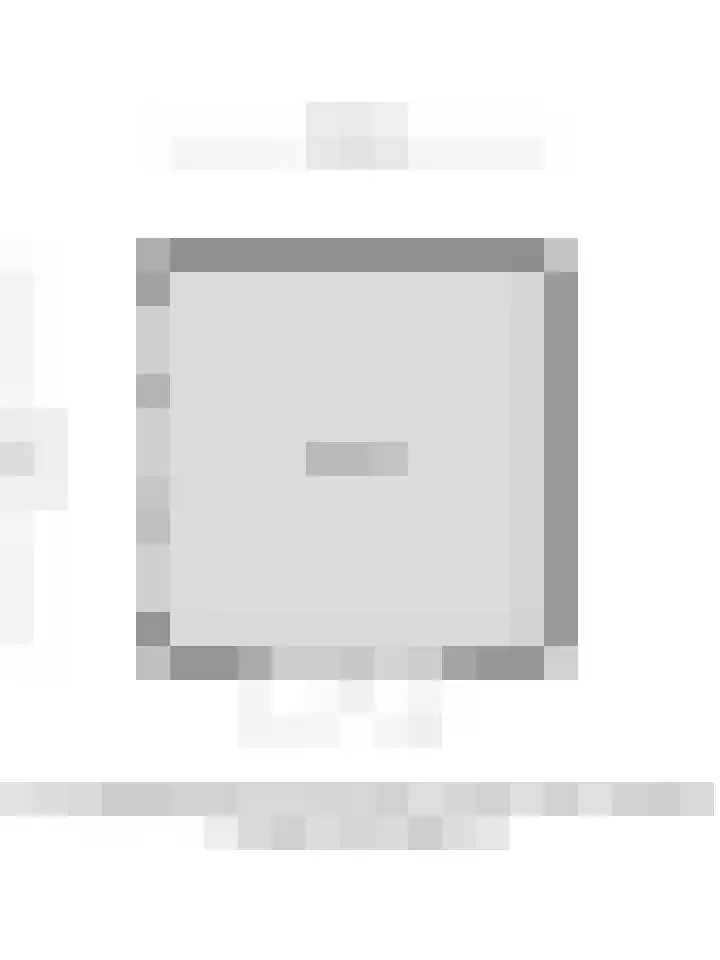 De Lint 109 Zevenbergen thumbnail 68