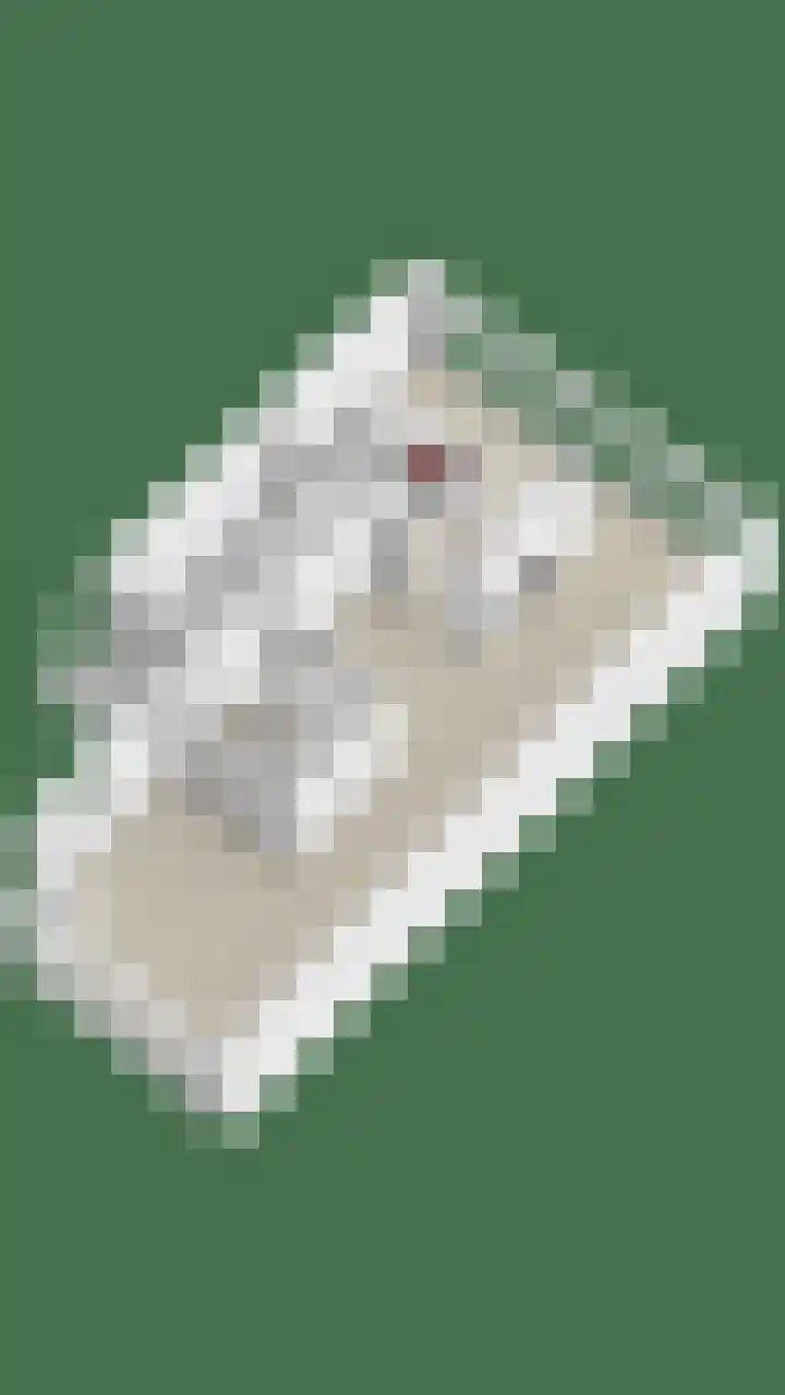 De Lint 109 Zevenbergen thumbnail 69