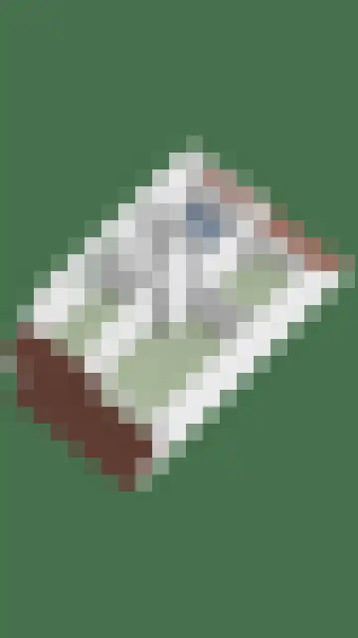 De Lint 109 Zevenbergen thumbnail 70