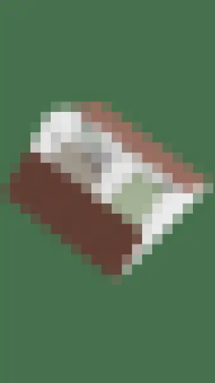 De Lint 109 Zevenbergen thumbnail 71