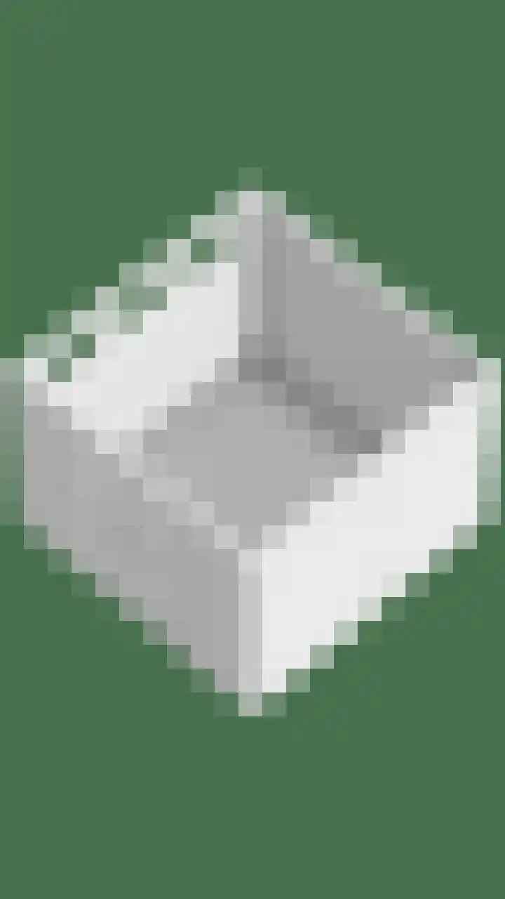 De Lint 109 Zevenbergen thumbnail 72