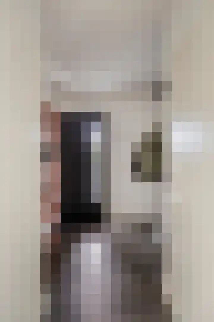 De Lint 109 Zevenbergen thumbnail 8