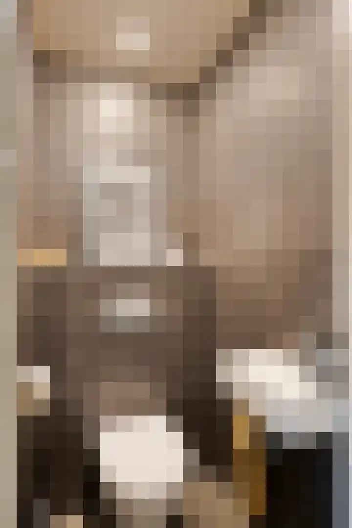 De Lint 109 Zevenbergen thumbnail 9