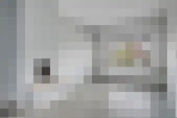 De Lint 34 Zevenbergen thumbnail 10