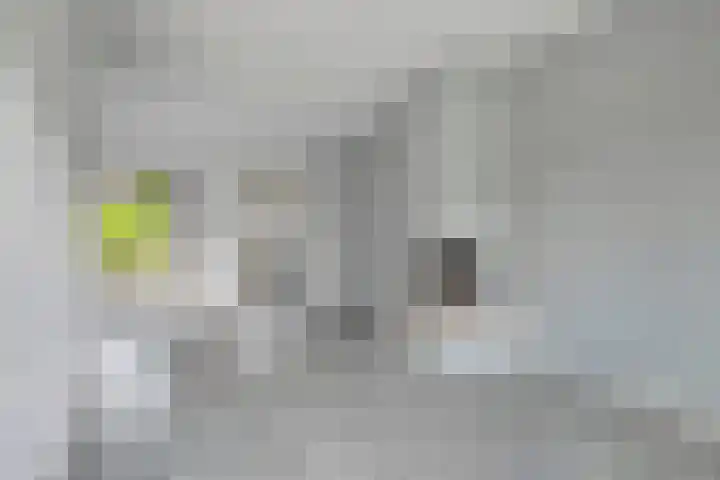 De Lint 34 Zevenbergen thumbnail 11