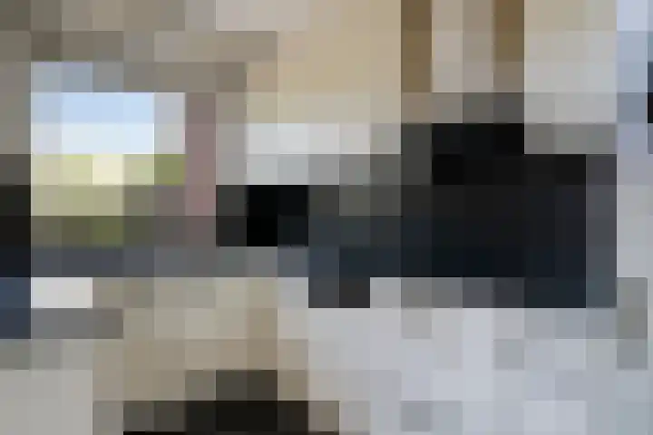 De Lint 34 Zevenbergen thumbnail 14