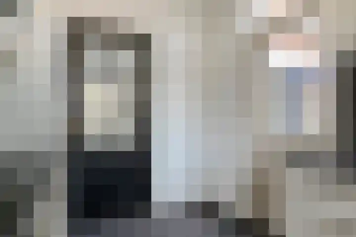 De Lint 34 Zevenbergen thumbnail 15