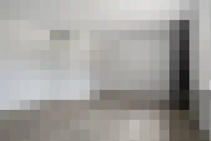 De Lint 34 Zevenbergen thumbnail 18
