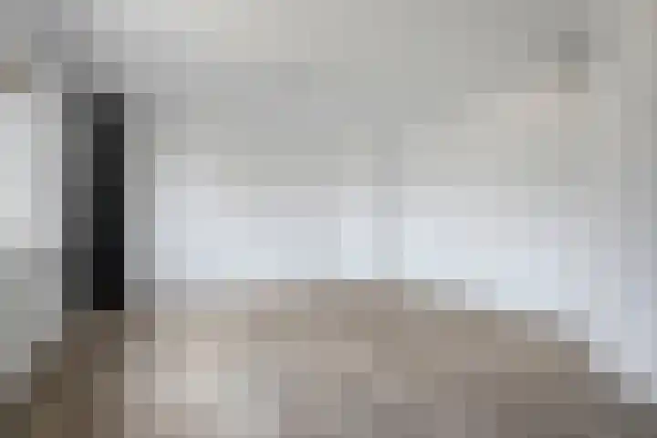 De Lint 34 Zevenbergen thumbnail 19