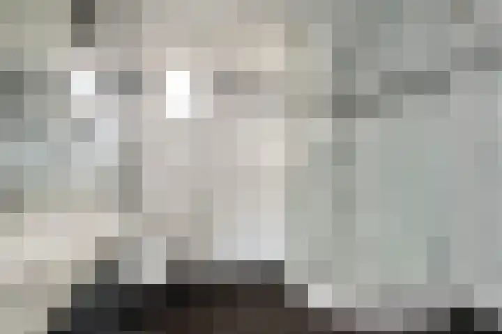 De Lint 34 Zevenbergen thumbnail 20