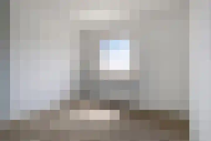 De Lint 34 Zevenbergen thumbnail 22