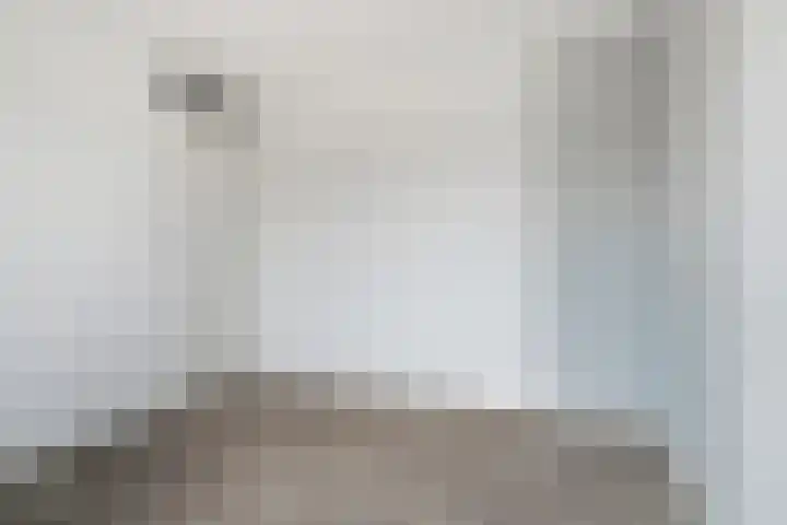 De Lint 34 Zevenbergen thumbnail 23