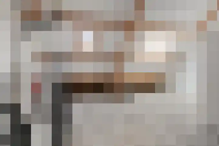 De Lint 34 Zevenbergen thumbnail 24