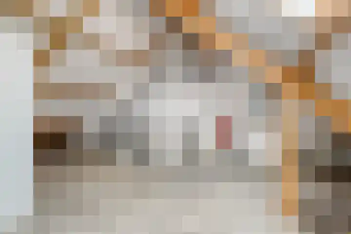 De Lint 34 Zevenbergen thumbnail 25