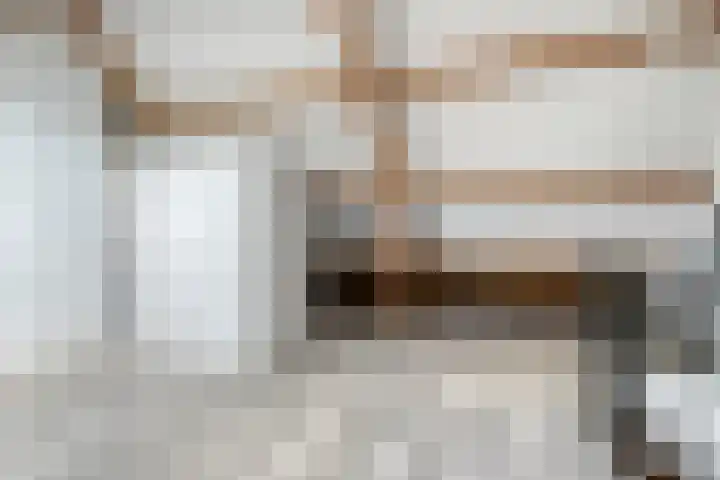 De Lint 34 Zevenbergen thumbnail 26