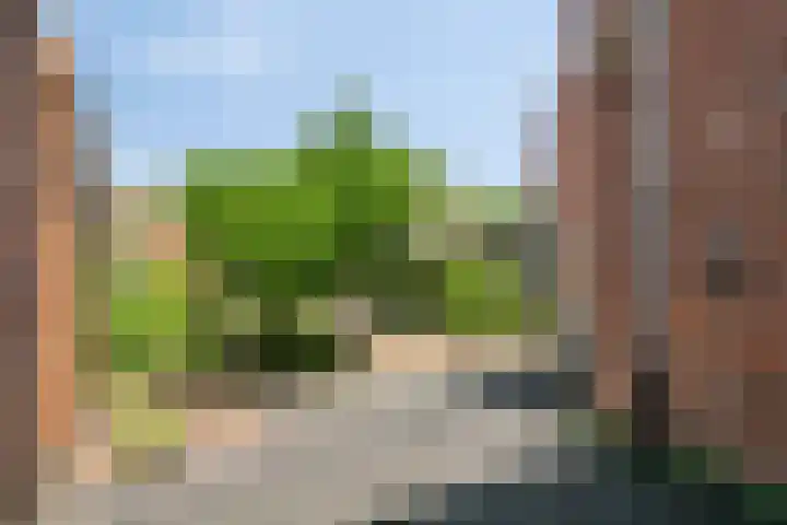 De Lint 34 Zevenbergen thumbnail 27