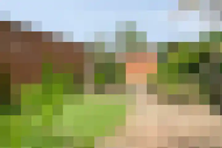 De Lint 34 Zevenbergen thumbnail 28