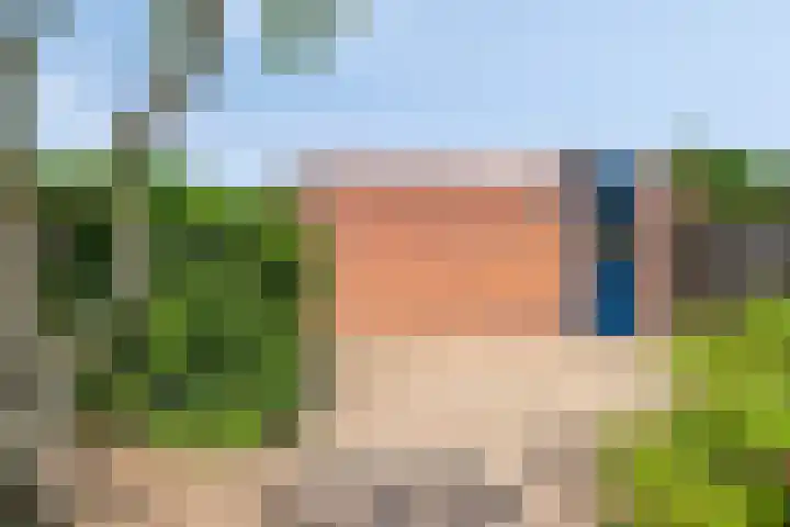 De Lint 34 Zevenbergen thumbnail 30