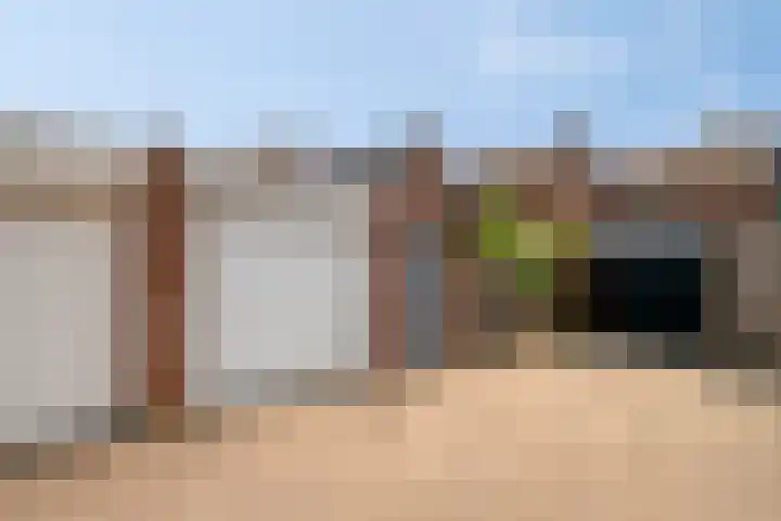 De Lint 34 Zevenbergen thumbnail 31