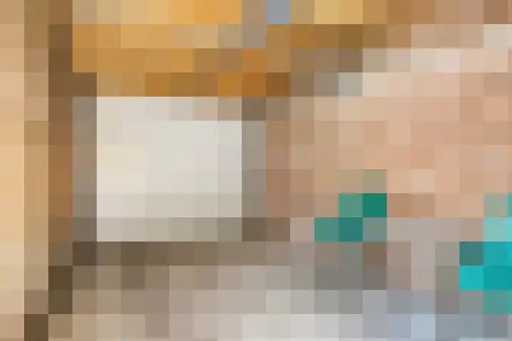 De Lint 34 Zevenbergen thumbnail 32