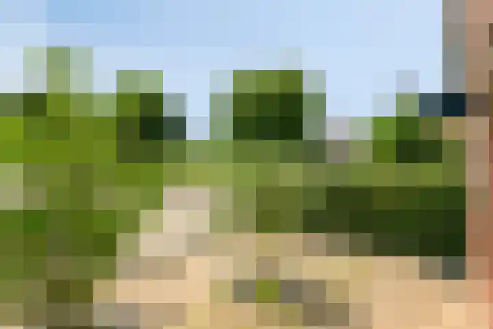 De Lint 34 Zevenbergen thumbnail 33