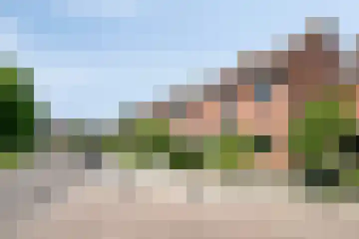 De Lint 34 Zevenbergen thumbnail 34