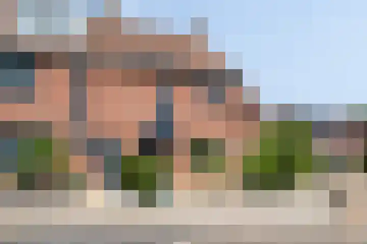 De Lint 34 Zevenbergen thumbnail 35