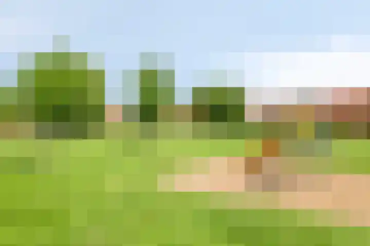 De Lint 34 Zevenbergen thumbnail 36