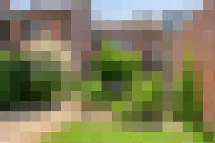 De Lint 34 Zevenbergen thumbnail 4