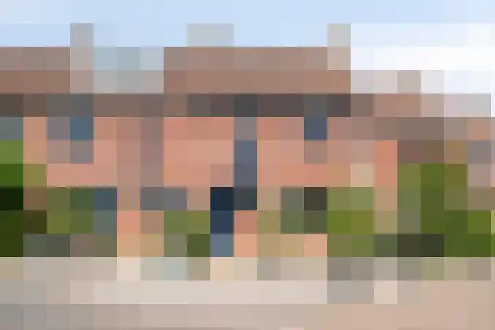 De Lint 34 Zevenbergen thumbnail 41