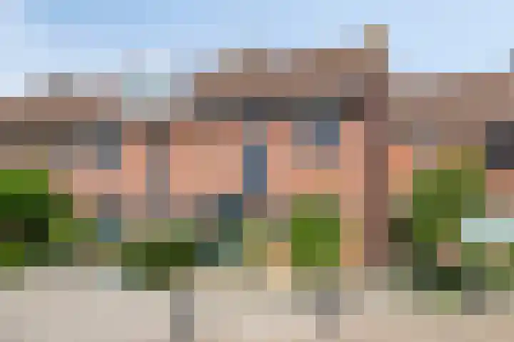 De Lint 34 Zevenbergen thumbnail 5